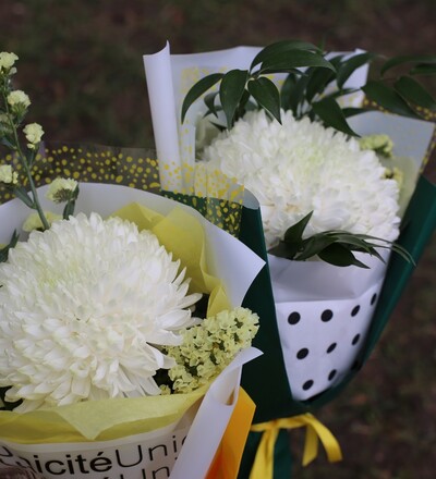 Купить Букет Комплимент хризантема в Минске с бесплатной доставкой в магазине флористики Садовская в Минске