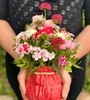 Купить Мешочек с цветами Розовая мечта c доставкой от Sadovskaya