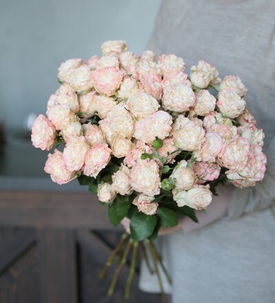 Купить Заказать розу кустовую Charming Flow свежайшую срезку или поштучно с доставкой в Минске в магазине флористики Садовская в Минске