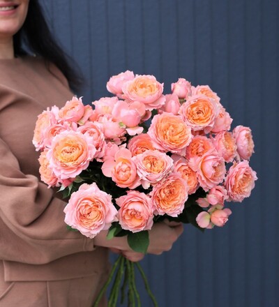 Купить Роза пионовидная кустовая Juliet под заказ с доставкой в Минске в магазине флористики Садовская в Минске