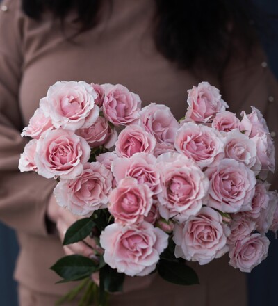 Купить Купить розу кустовую садовую Pink Majolica в Минске с доставкой в магазине флористики Садовская в Минске