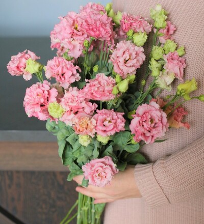 Купить Эустома Алисса (розовая) в магазине флористики Садовская в Минске